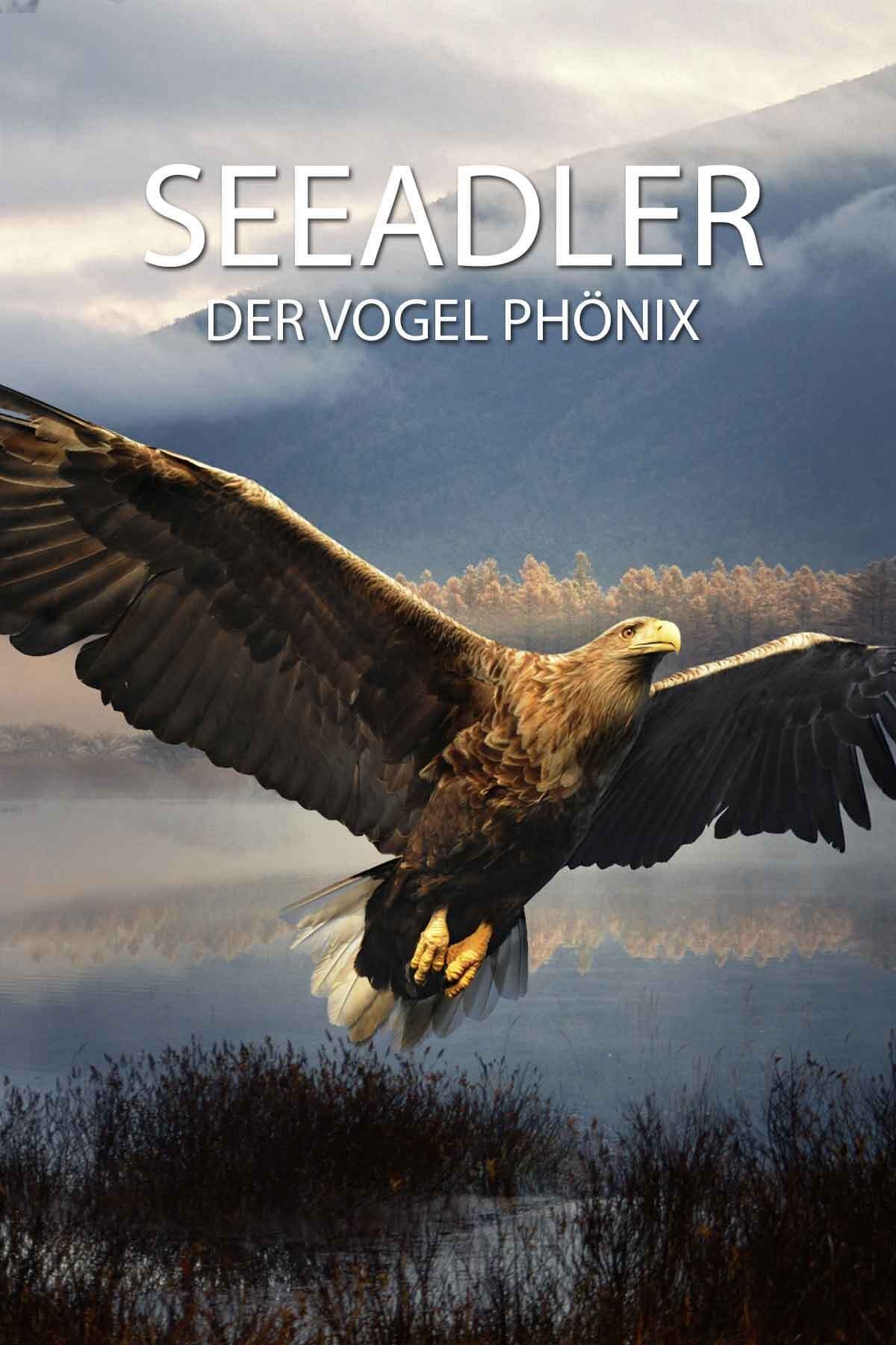 Seeadler - Der Vogel Phönix