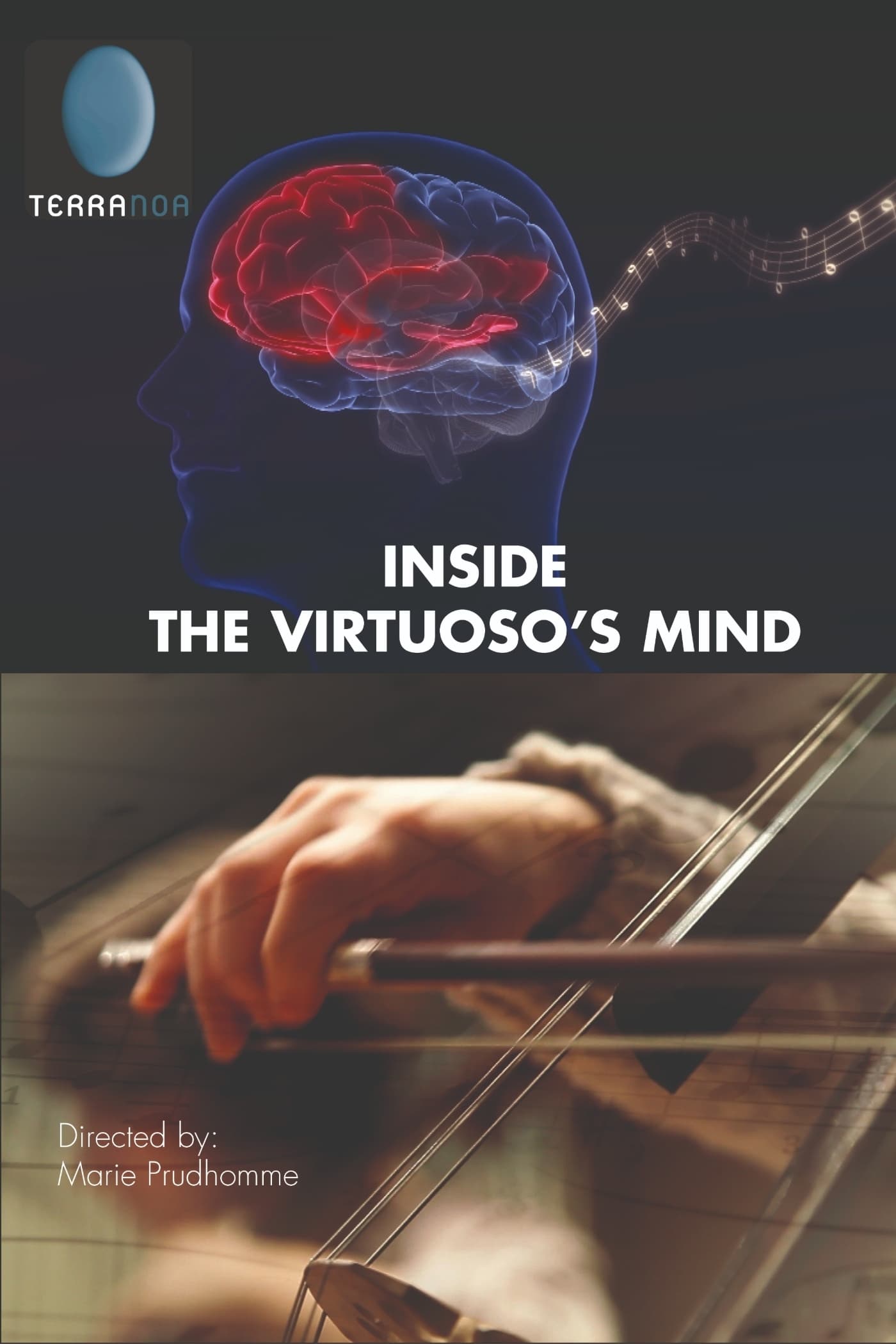 Inside The Virtuoso’s Mind