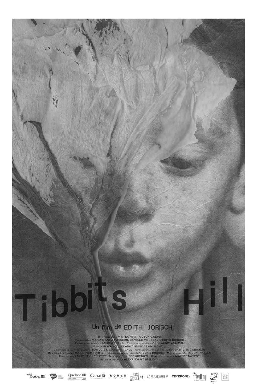 Tibbits Hill