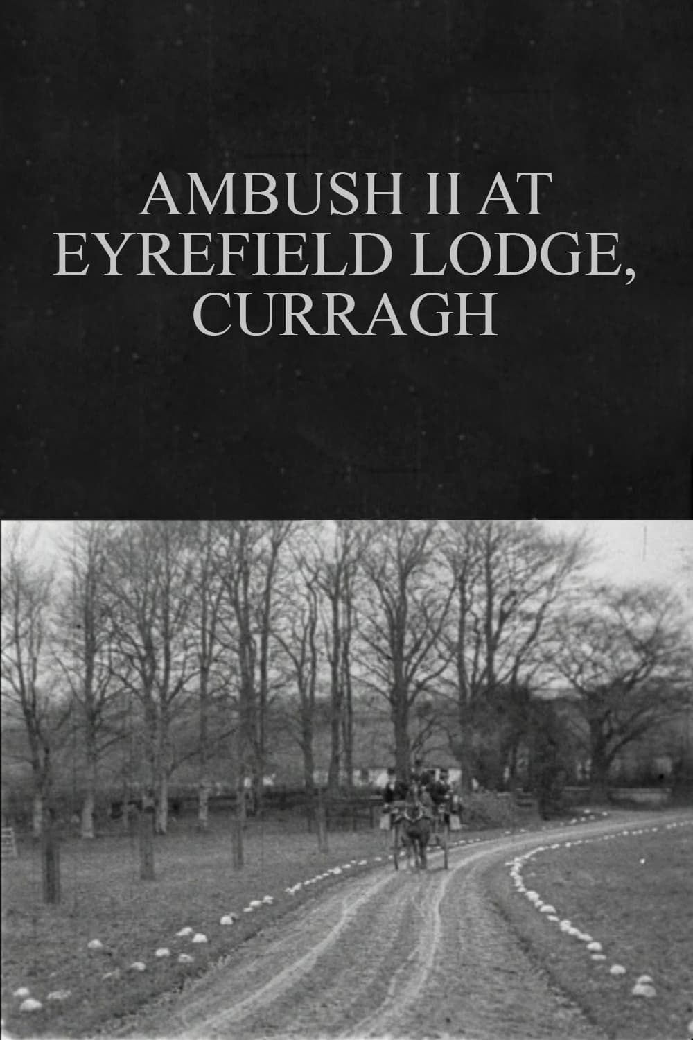 Ambush II at Eyrefield Lodge, Curragh