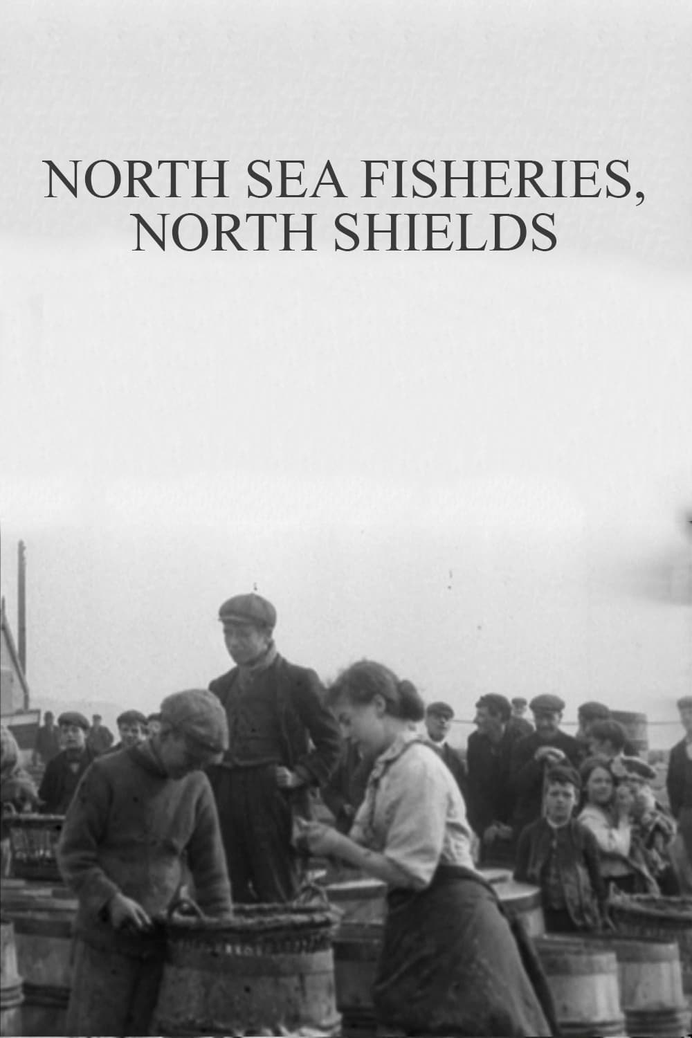 North Sea Fisheries, North Shields