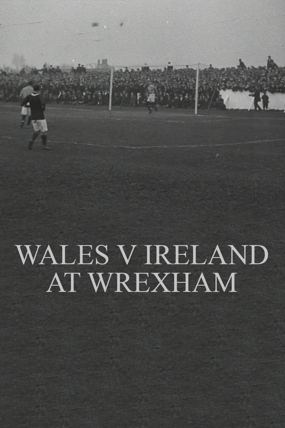 Wales v. Ireland at Wrexham