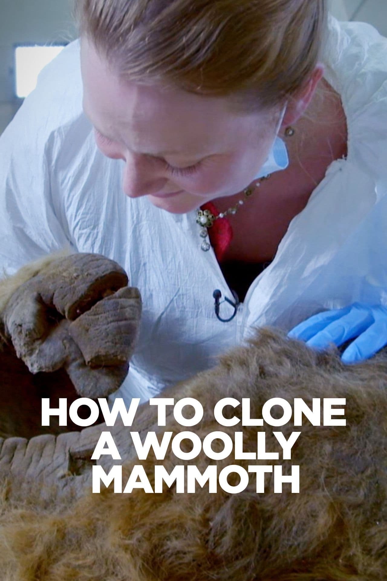 How To Clone A Woolly Mammoth