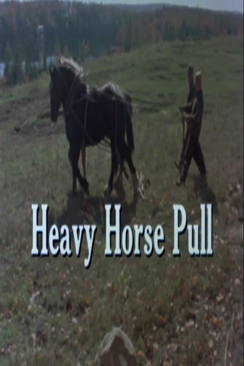 Heavy Horse Pull