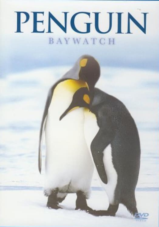 Penguin Baywatch Antarctica