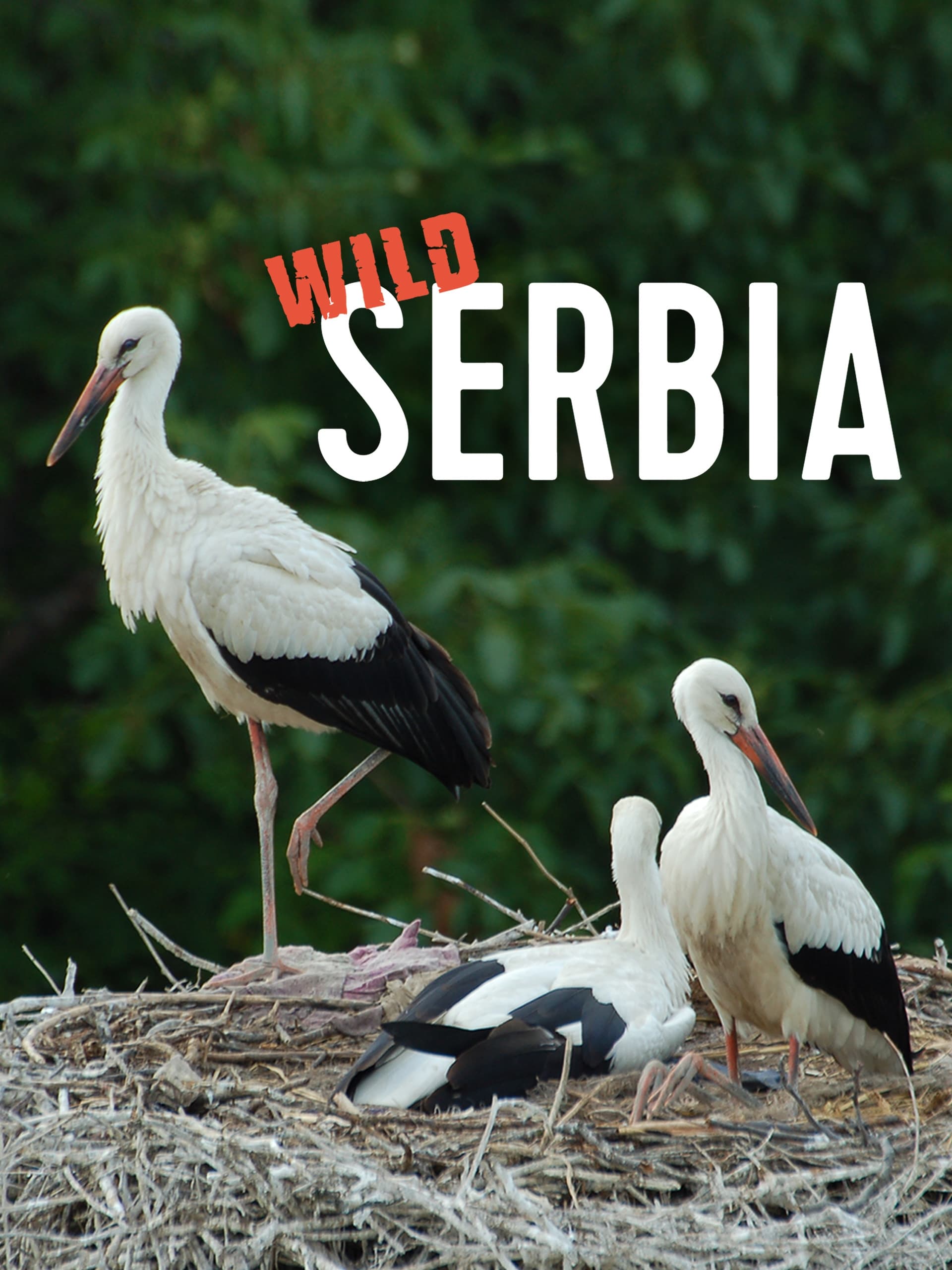 Wild Serbia