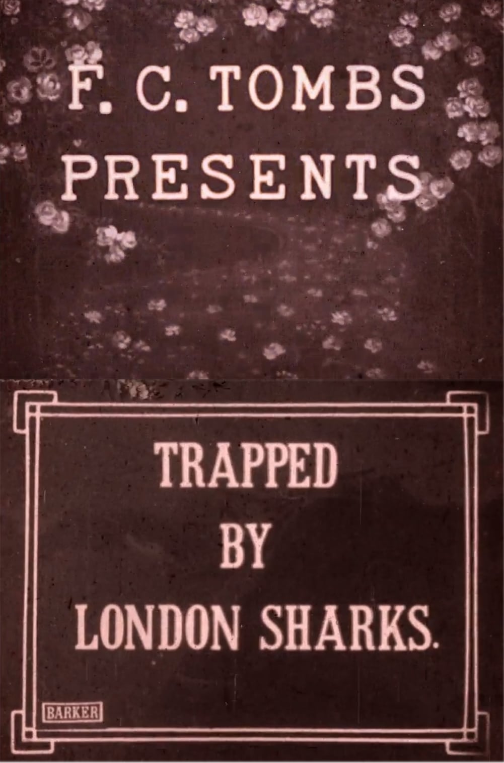 Trapped by London Sharks