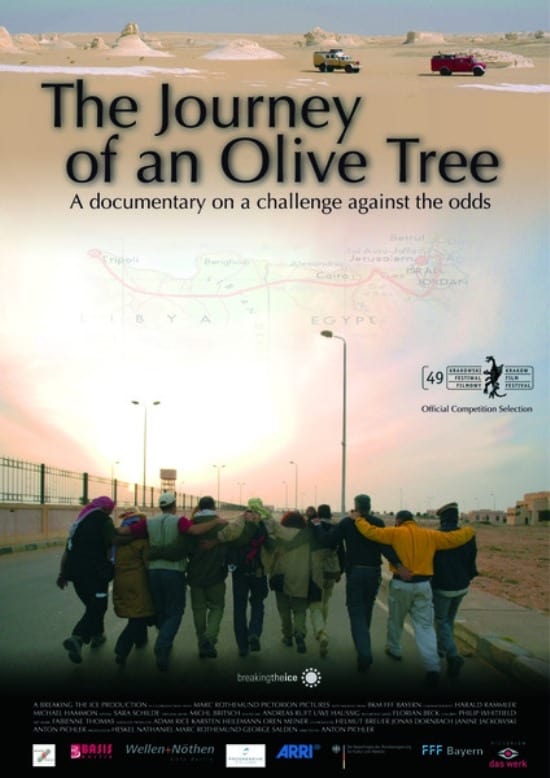 The Journey of an Olive Tree