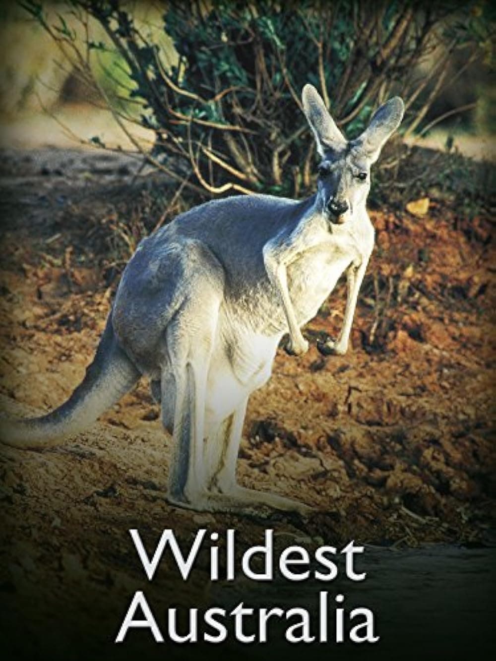 Wildest Australia
