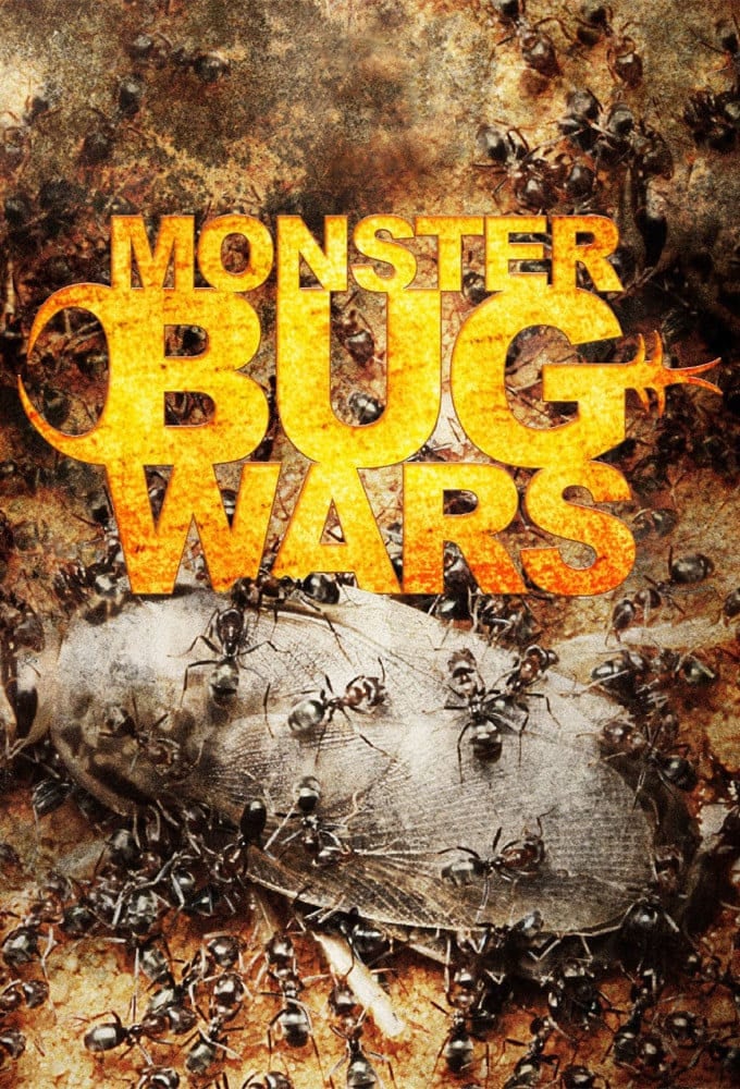 Monster Bug Wars