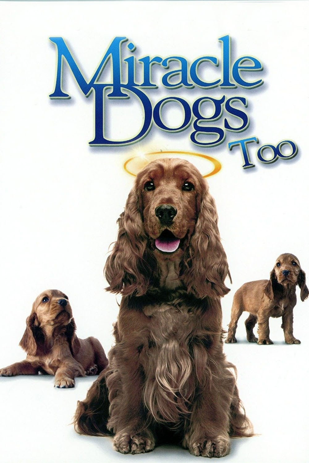 Miracle Dogs Too (2006)