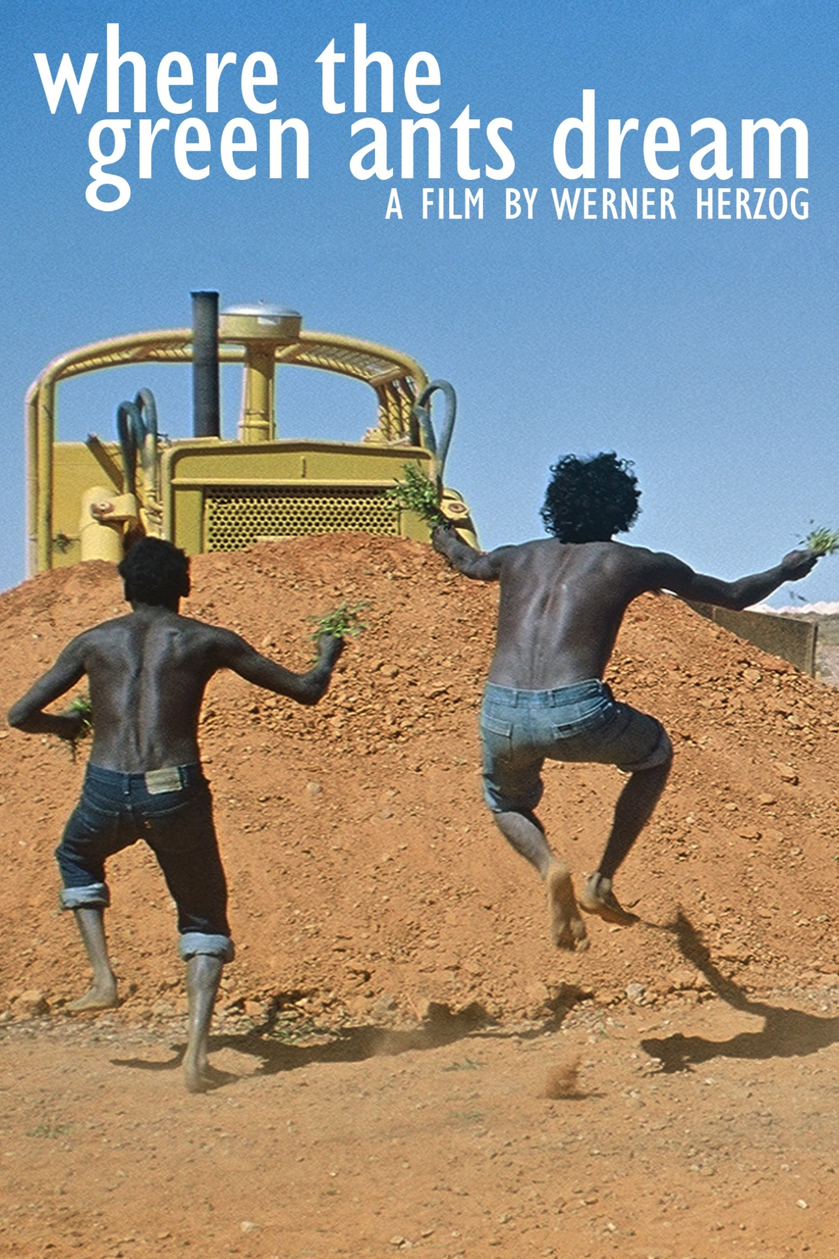 Onde Sonham as Formigas Verdes (1984)