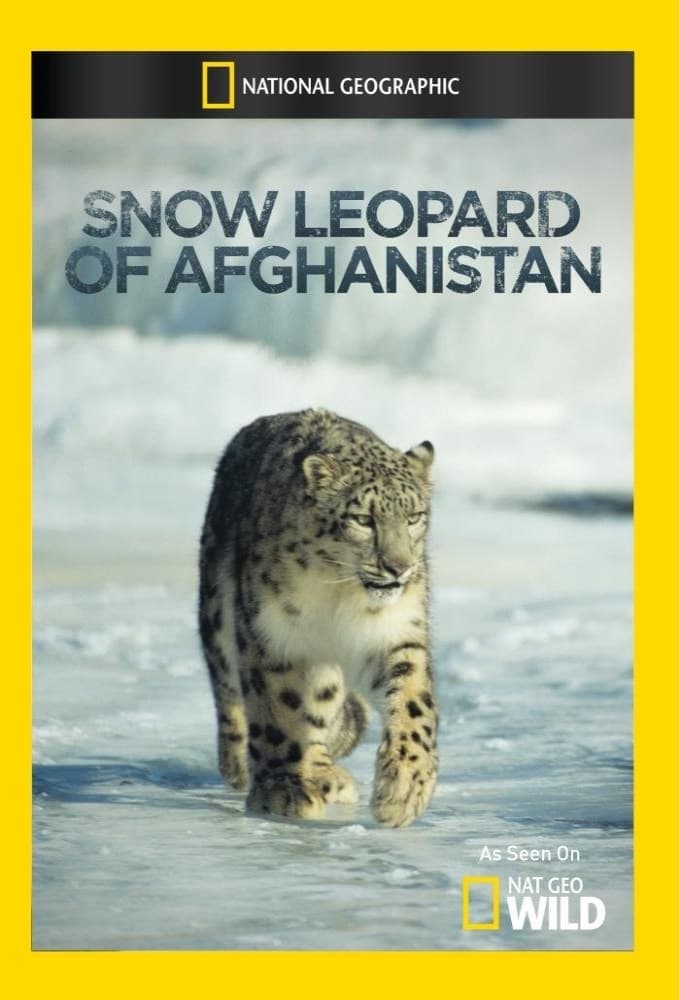 Snow Leopard of Afghanistan