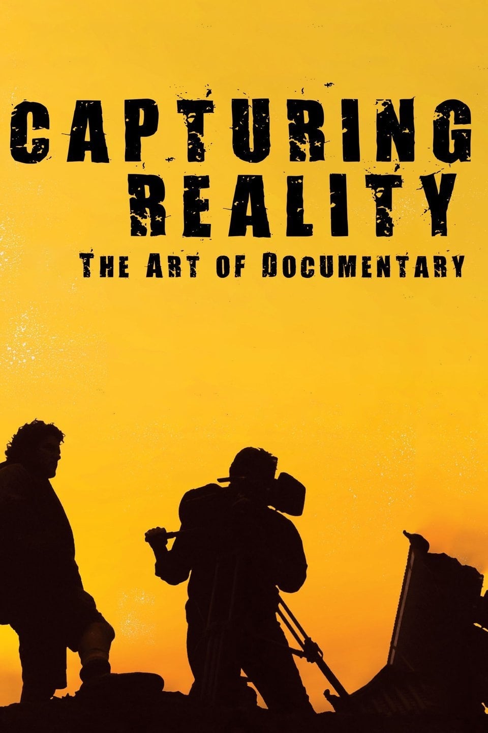 Capturing Reality (2008)