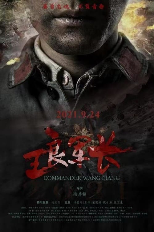 Commander Wang Liang