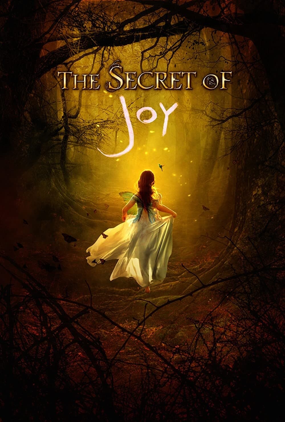 The Secret of Joy (2016)