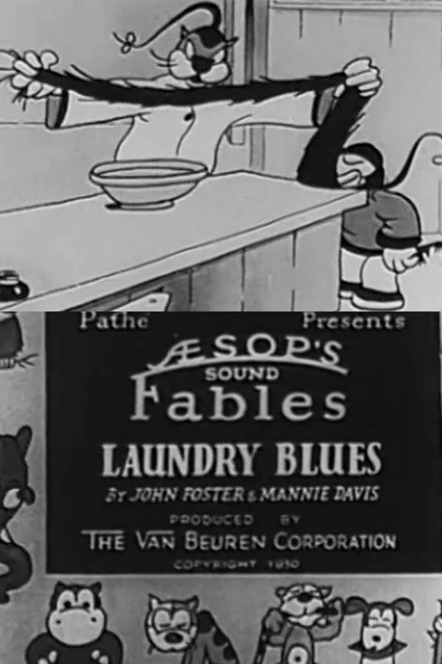 Laundry Blues