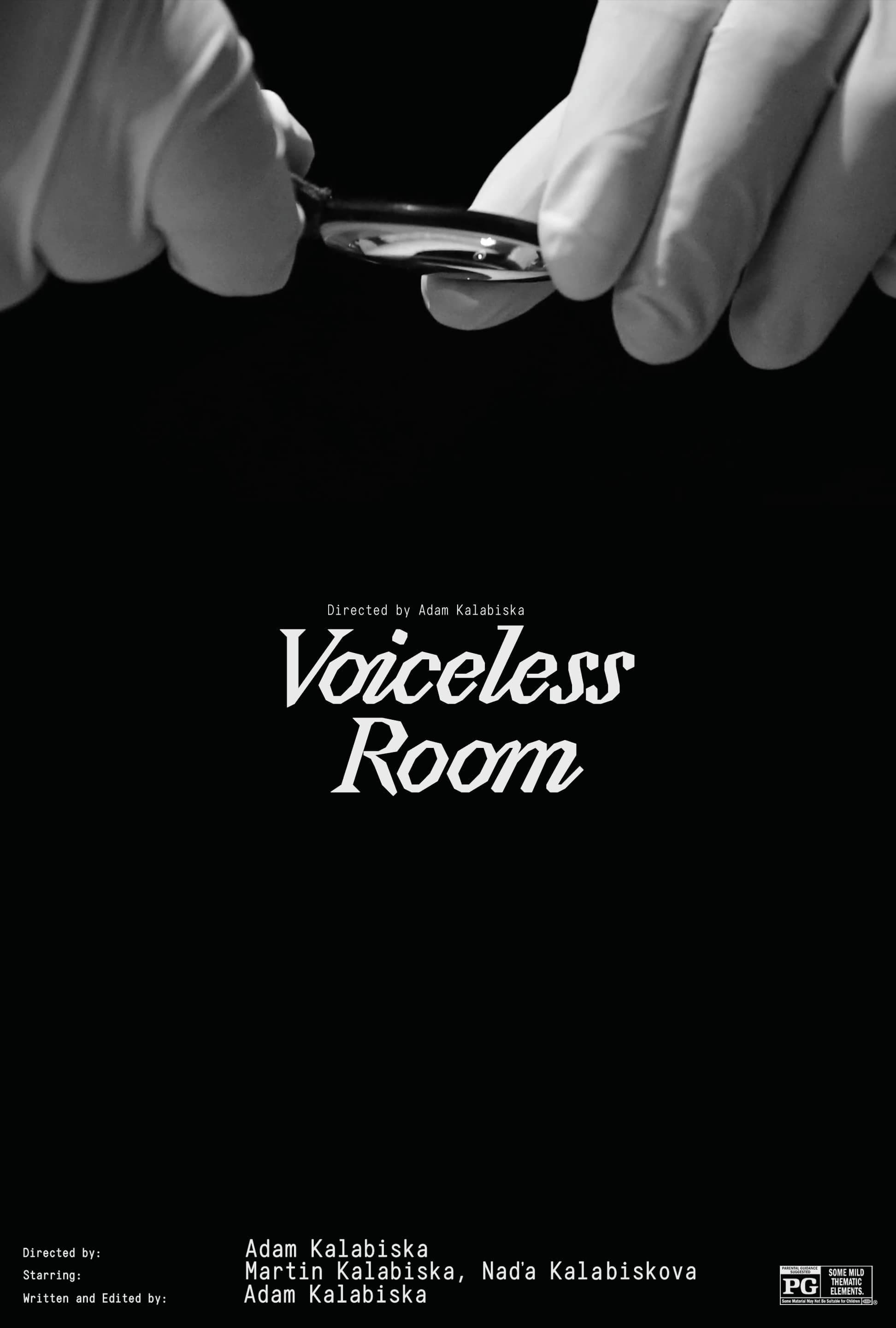 Voiceless Room
