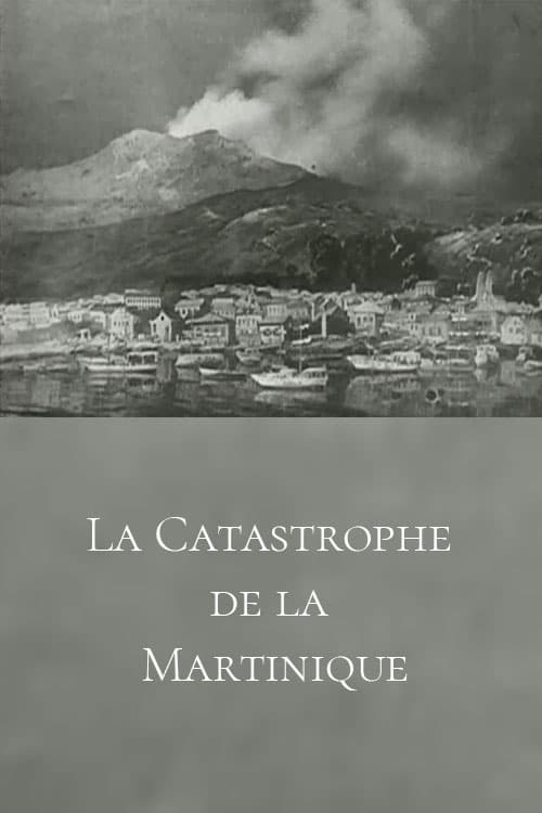 The Martinique Disaster