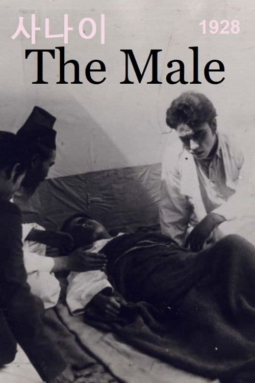 The Male