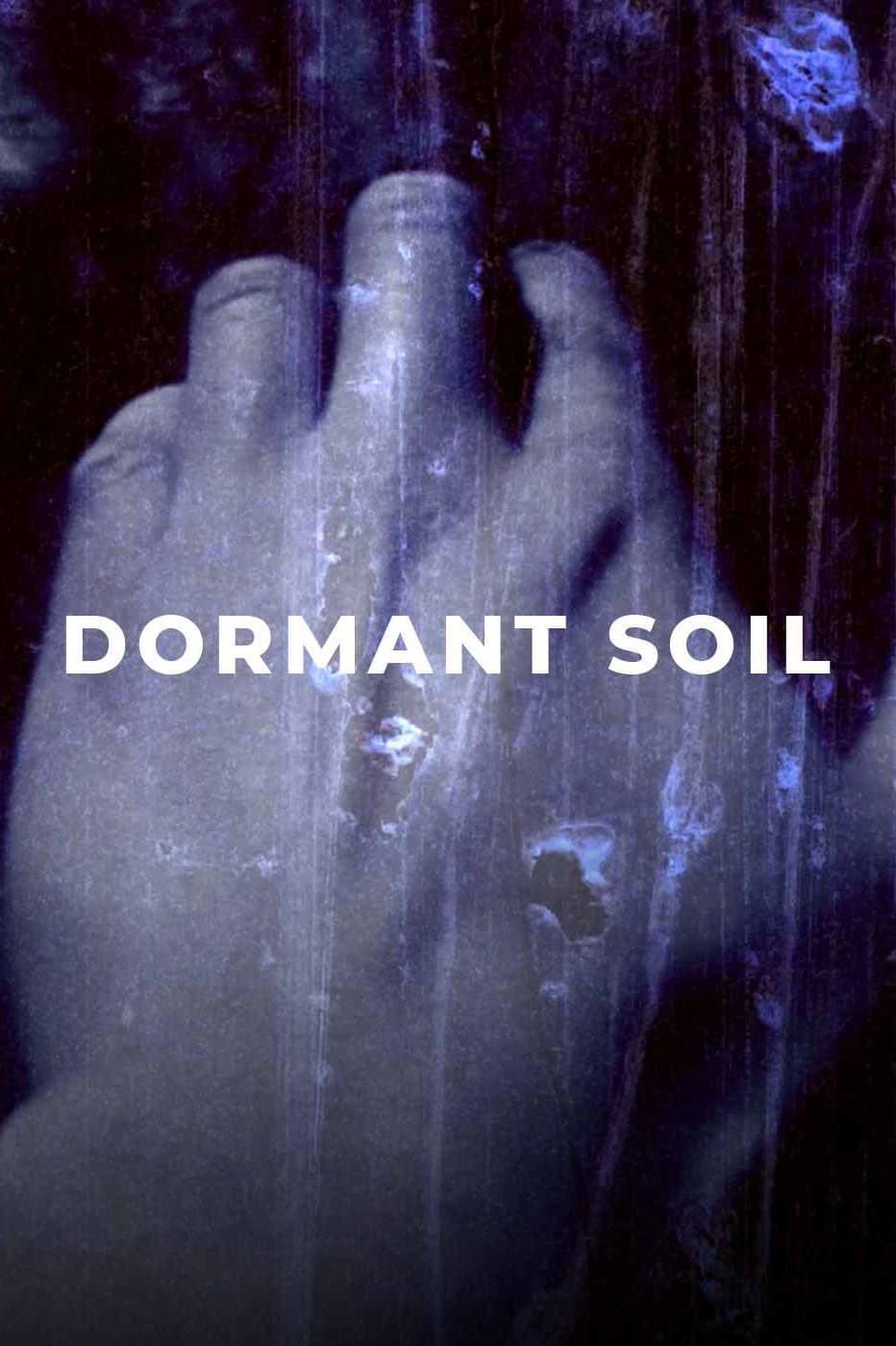 Dormant Soil/Concrete Reflections