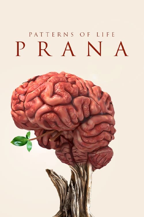 Patterns of life: Prana
