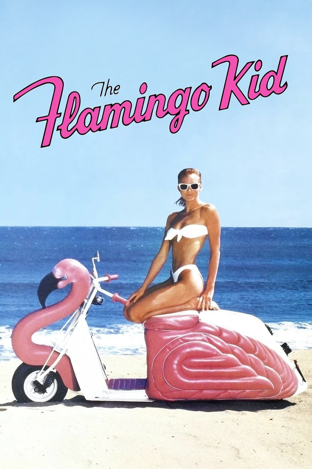The Flamingo Kid (1984)