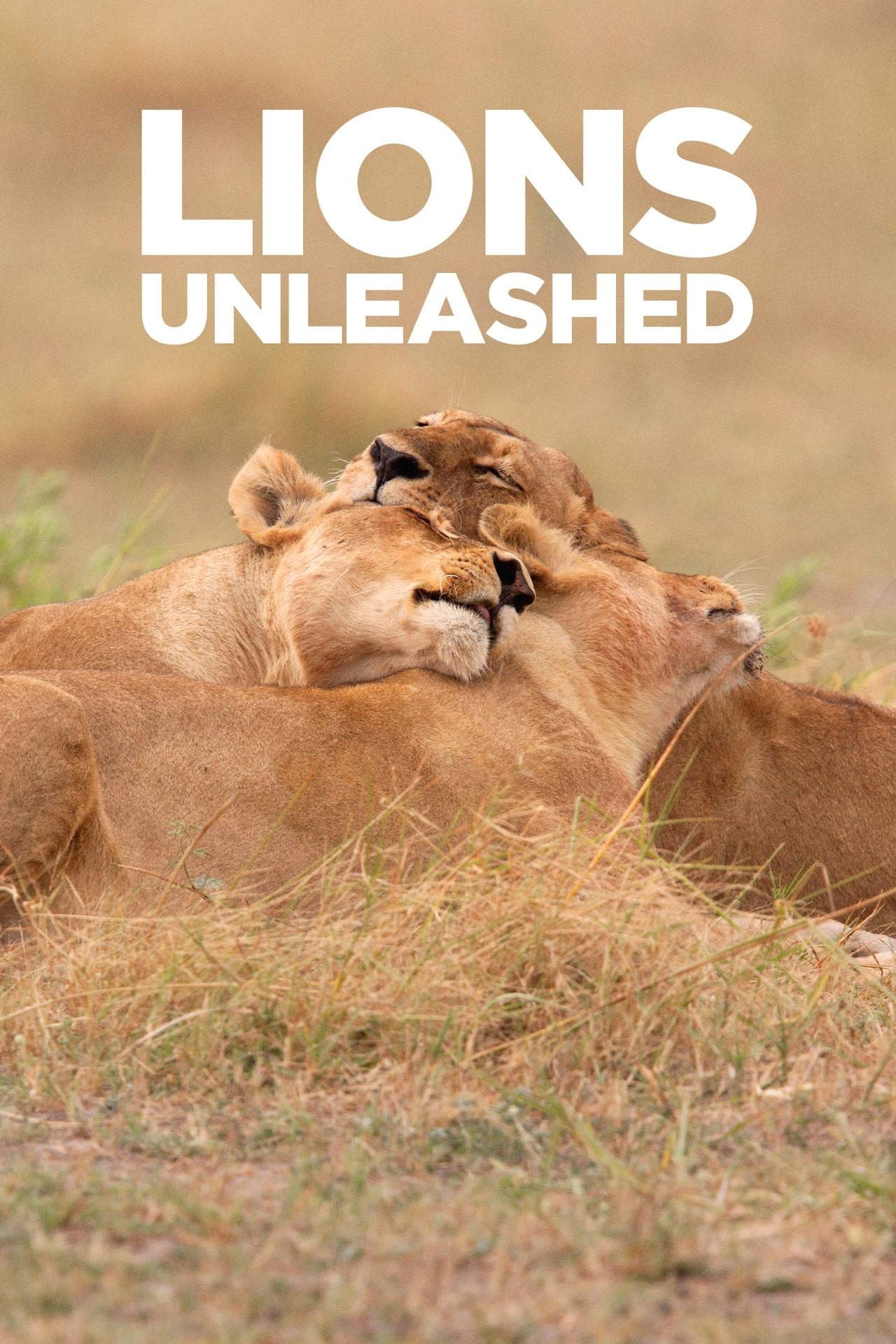 Lions Unleashed