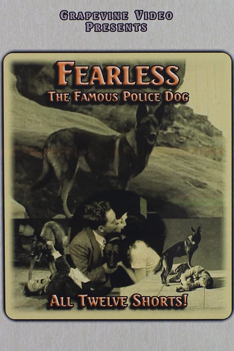 Dog of Dogs (1926)