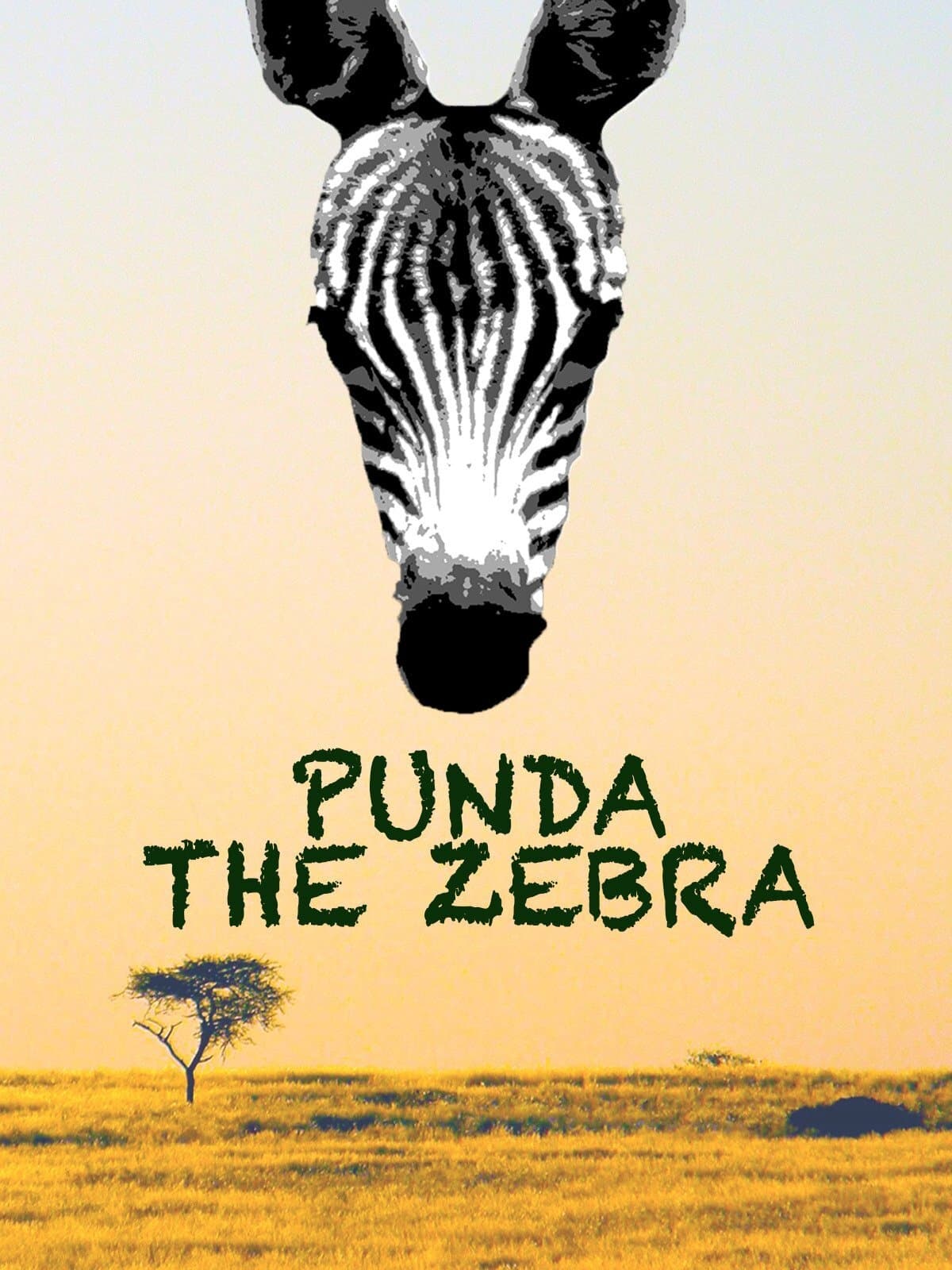 Punda the Zebra