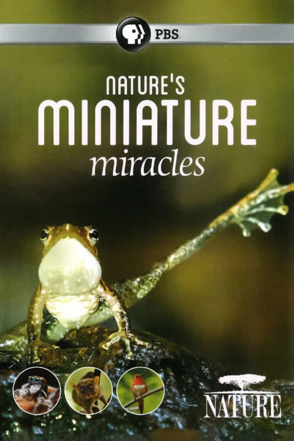 Nature's Miniature Miracles