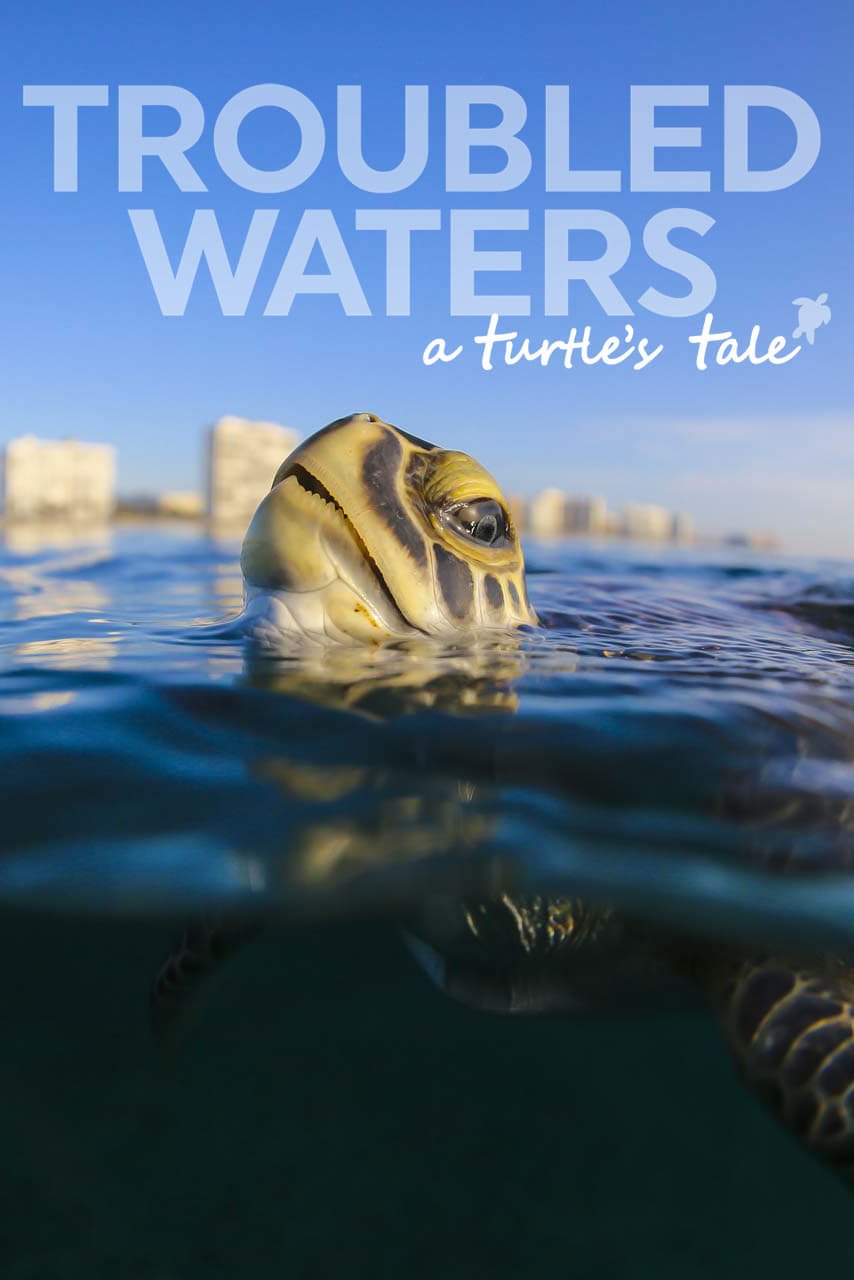 Troubled Waters - A Turtle's Tale (2019)