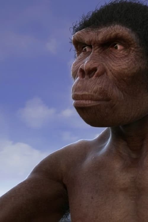 Evolution from ape to man