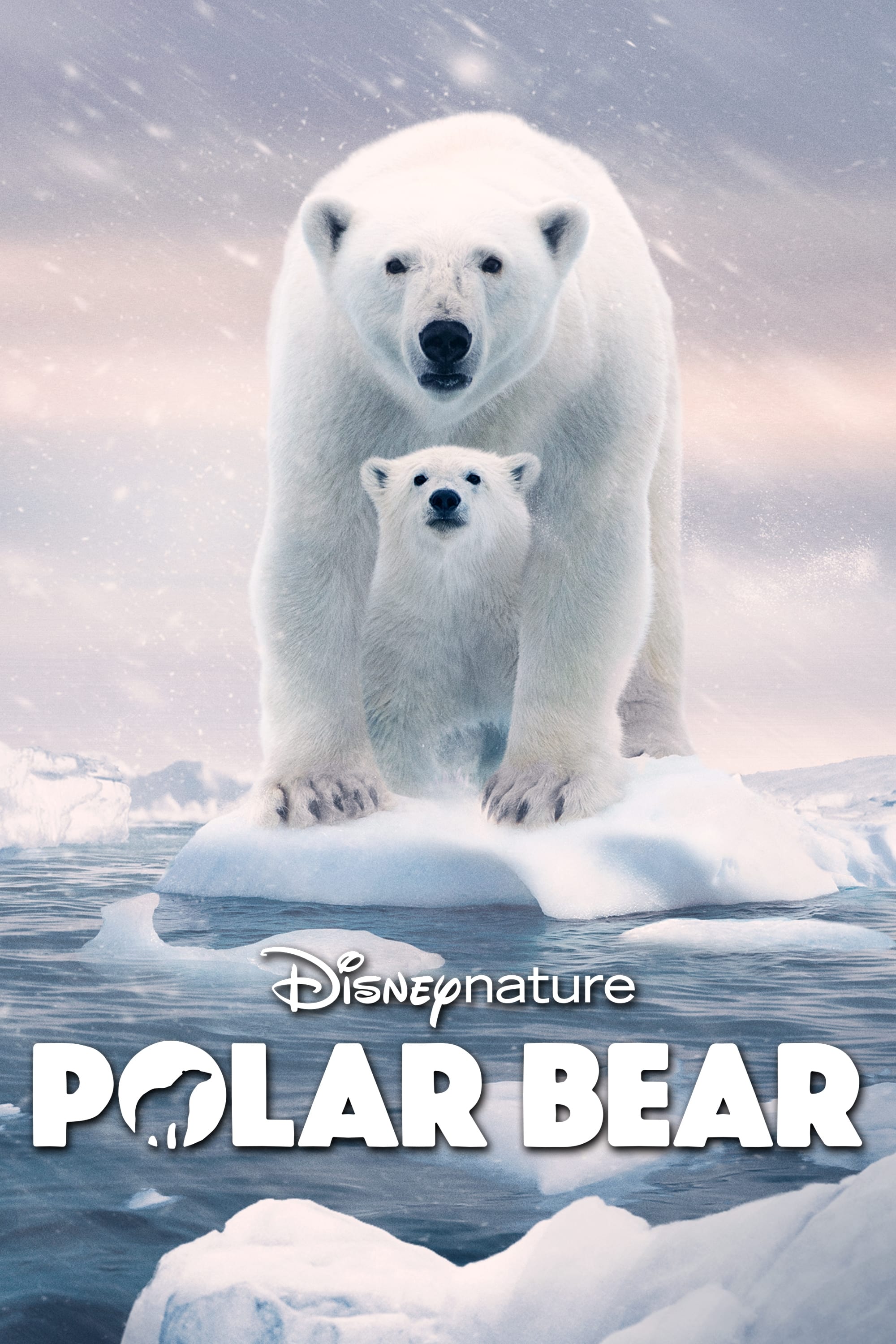 Eisbären (2022)