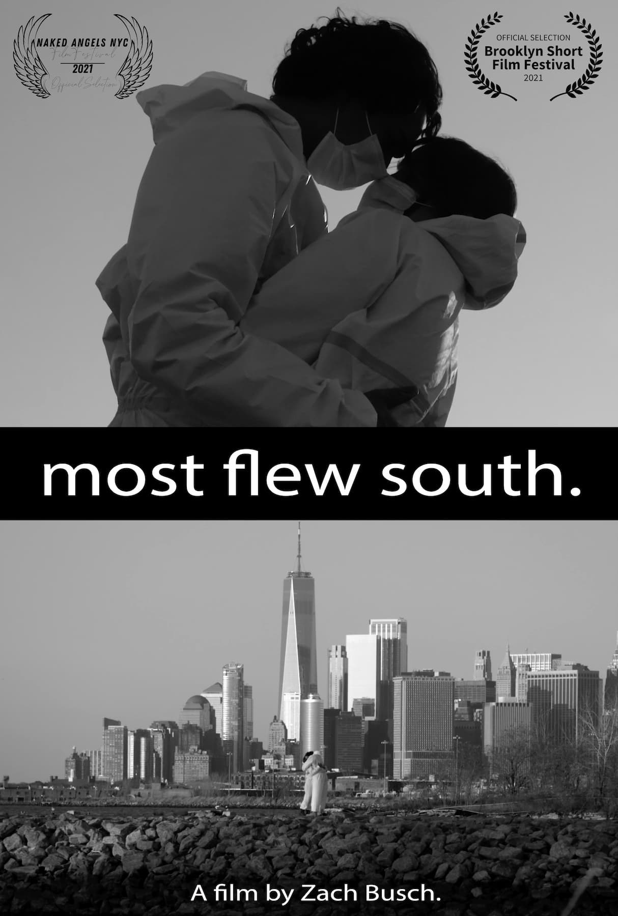 Most Flew South (2020)