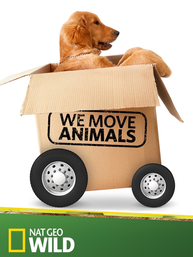 We Move Animals