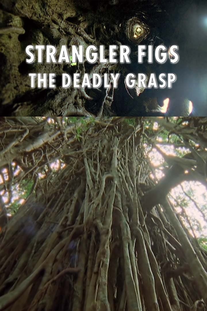 Strangler Figs: The Deadly Grasp
