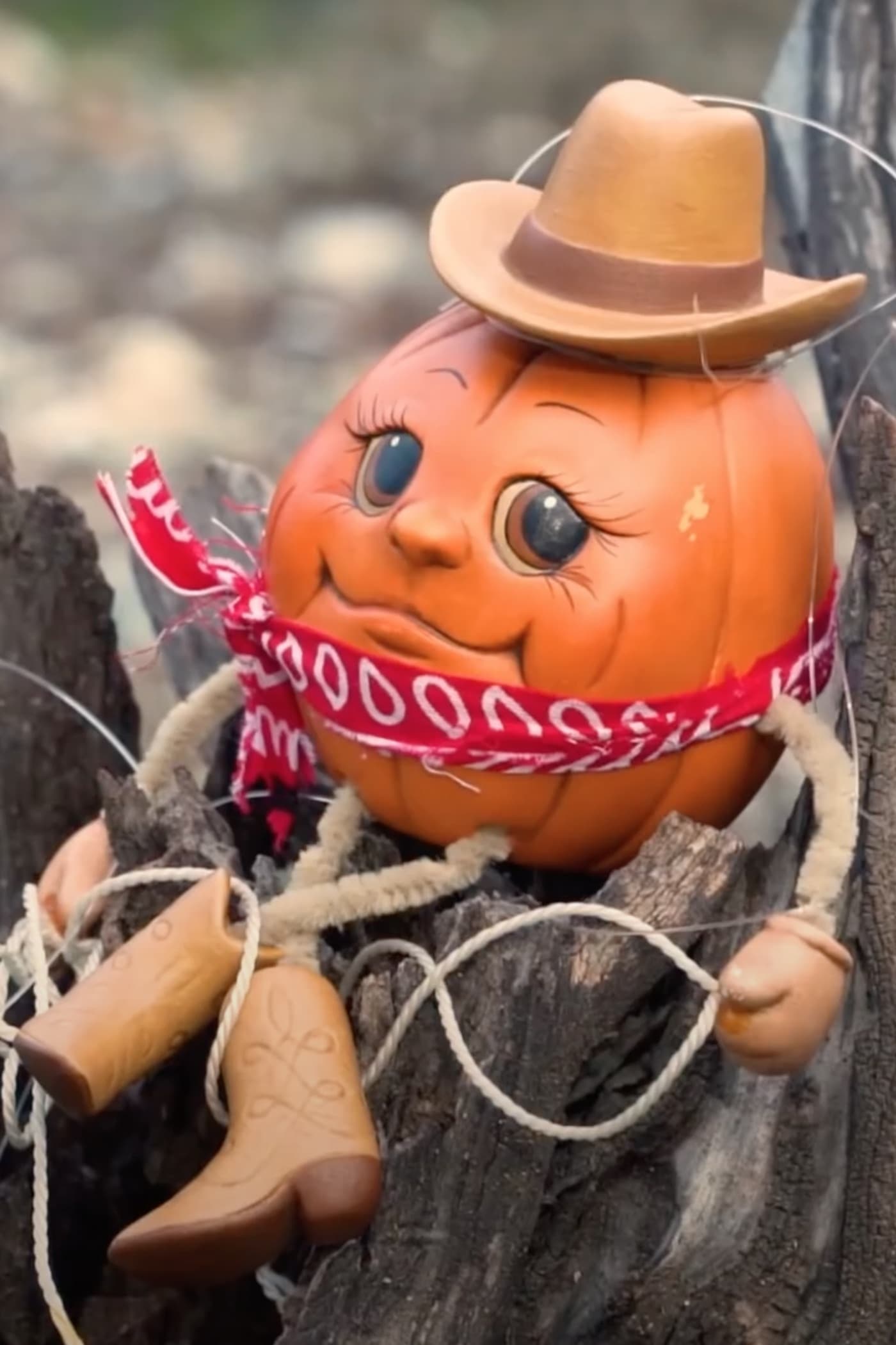 Pumpkin Cowboy