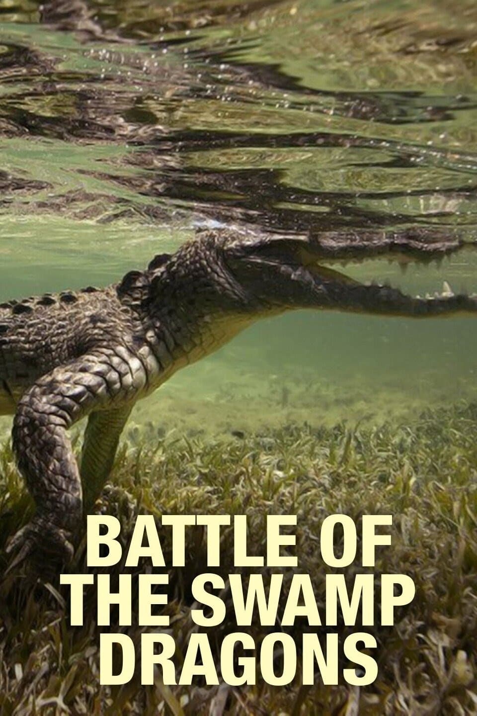 Battle of the Swamp Dragons