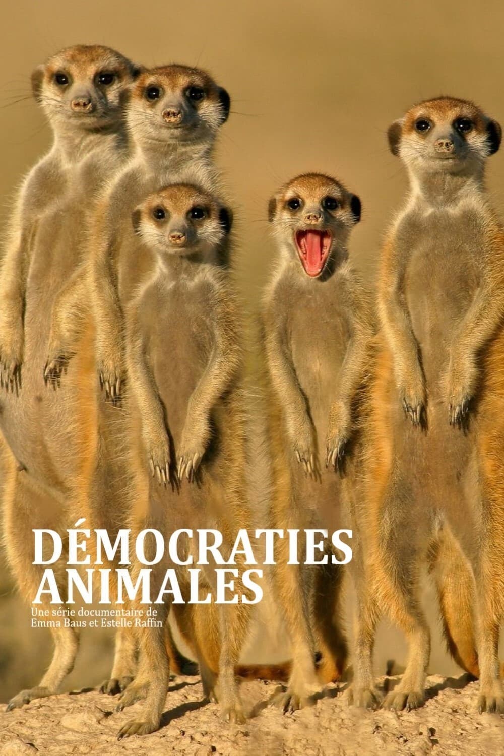 Démocraties animales