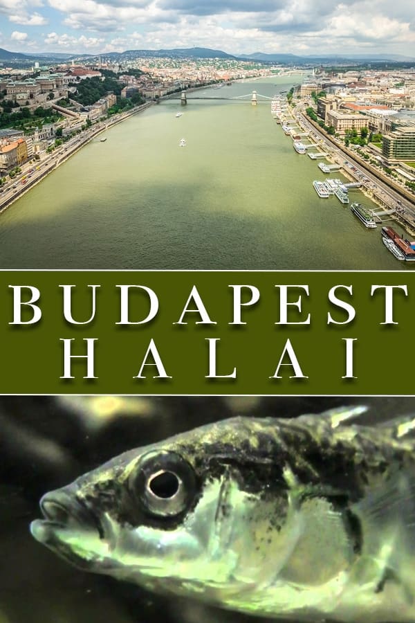 The Fish of Budapest