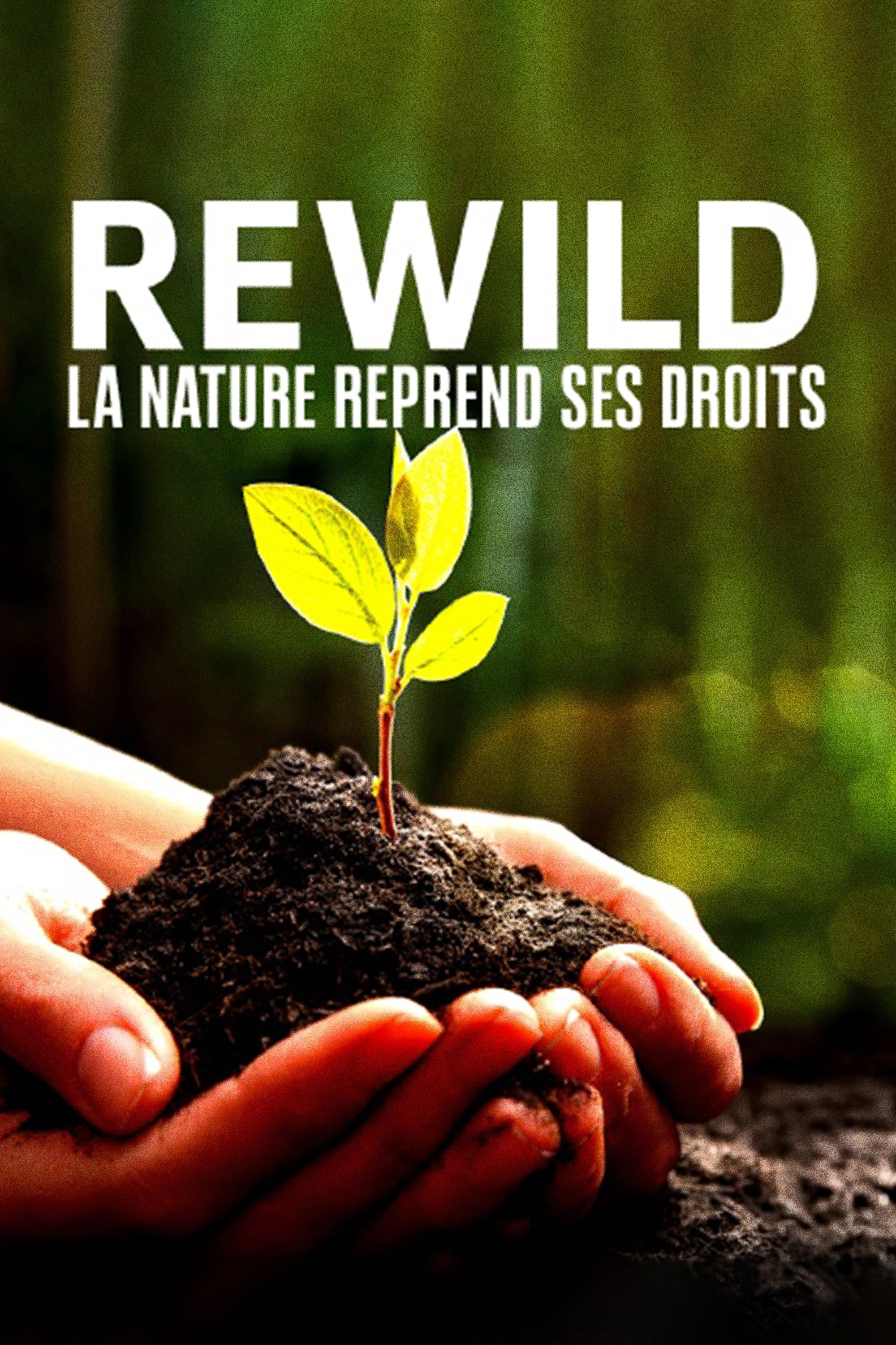 Rewild, la nature reprend ses droits
