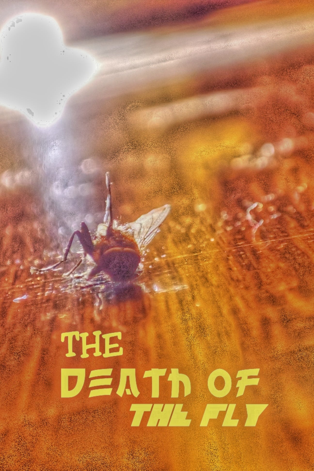 The Death of the Fly
