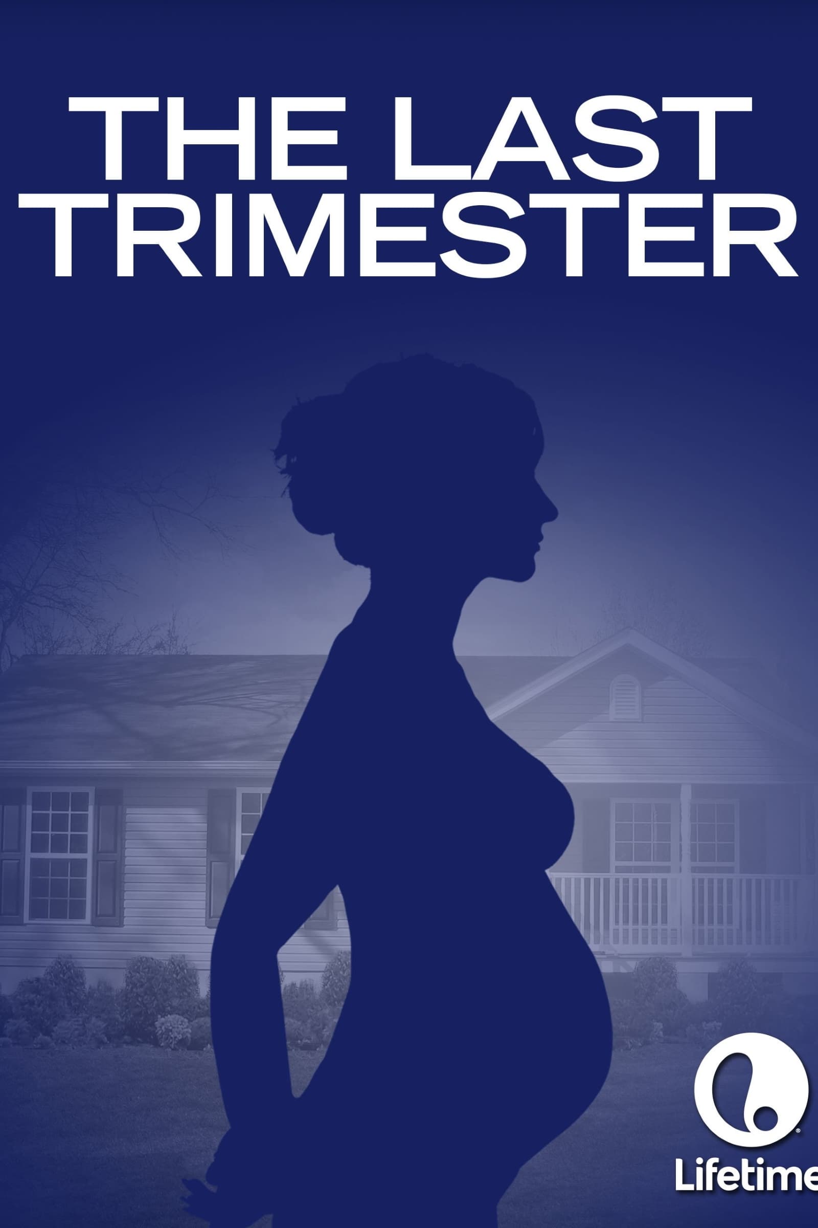 The Last Trimester (2007)
