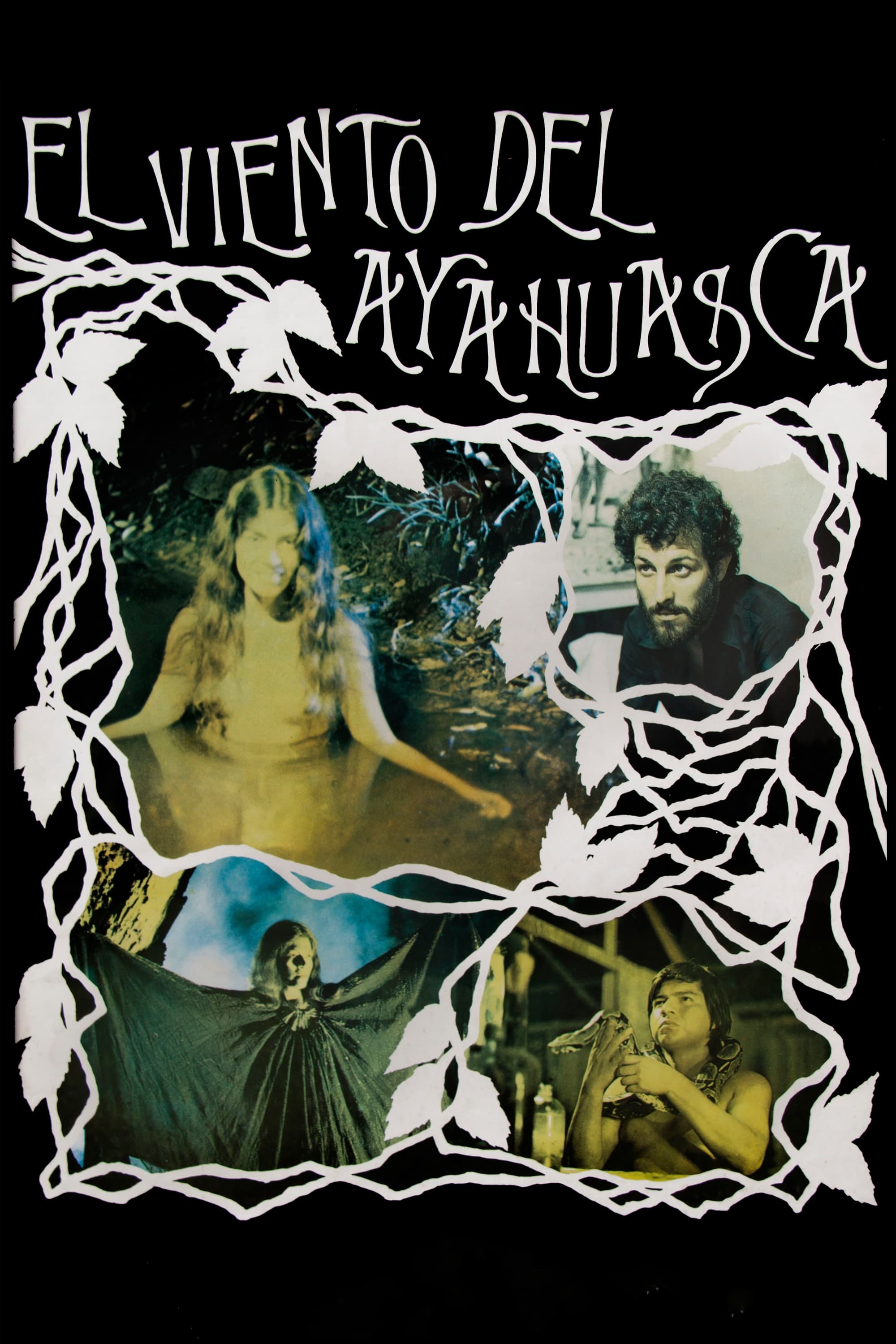 The Wind of Ayahuasca