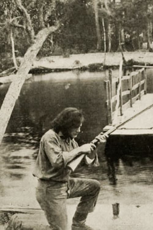 Kit, the Arkansaw Traveler (1914)