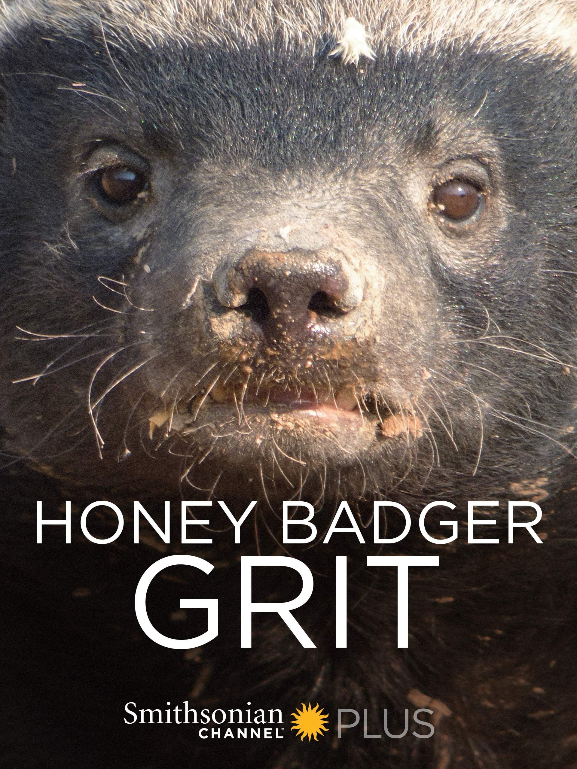 Honey Badger: Grit