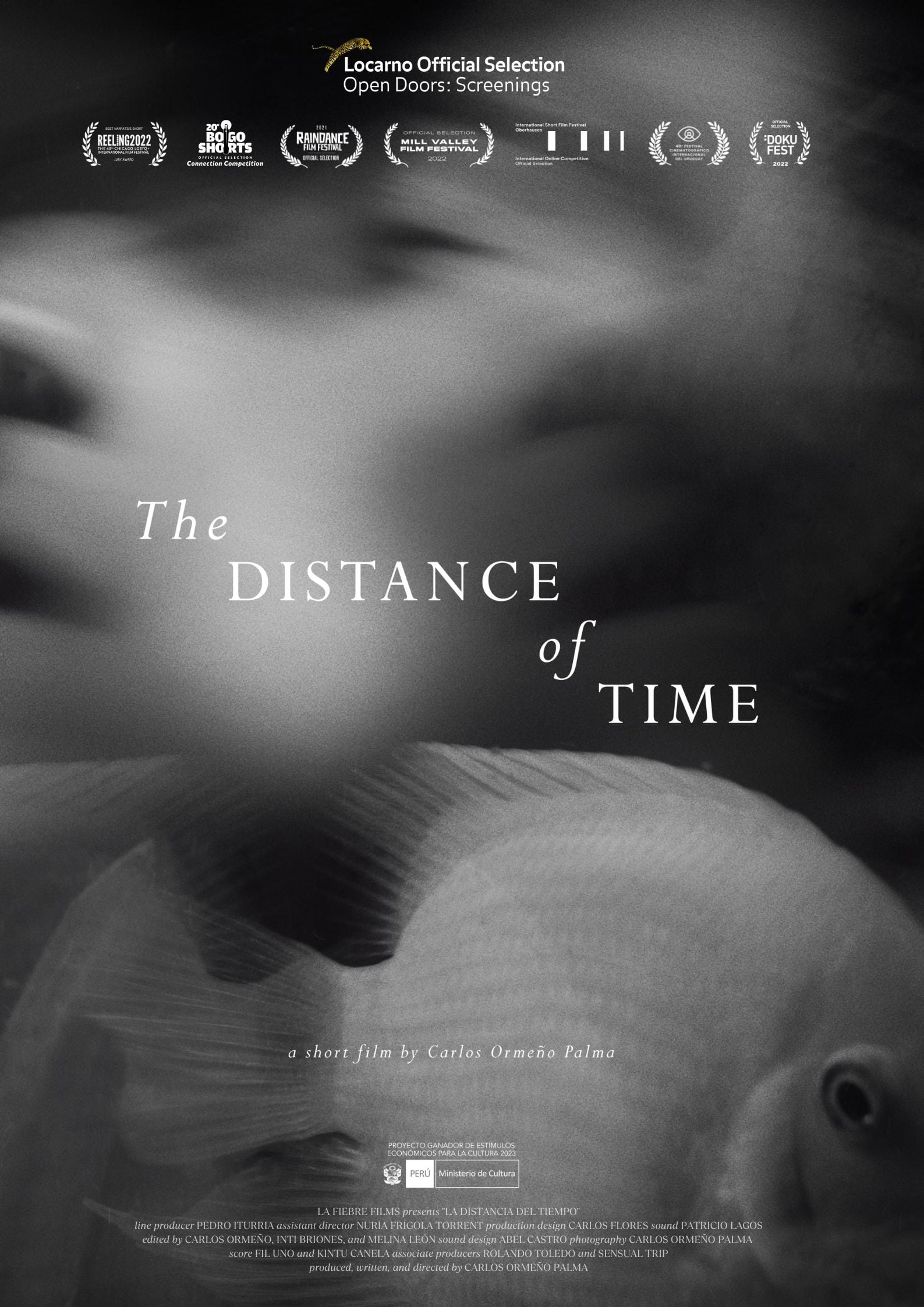 The Distance of Time