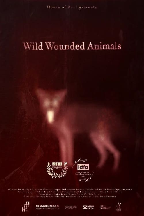 Wild Wounded Animals