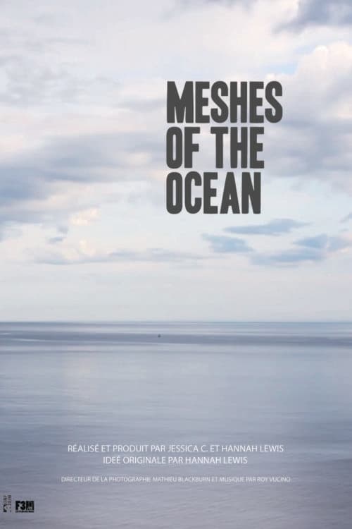 Meshes of the Ocean